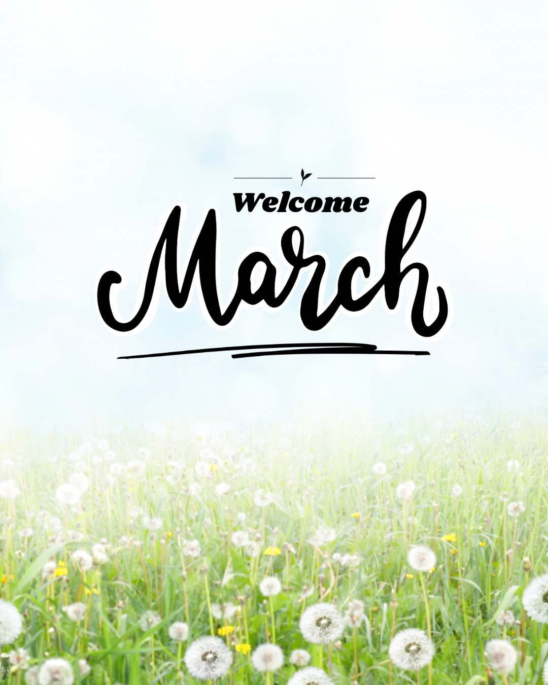 Monthly Home Restock Box